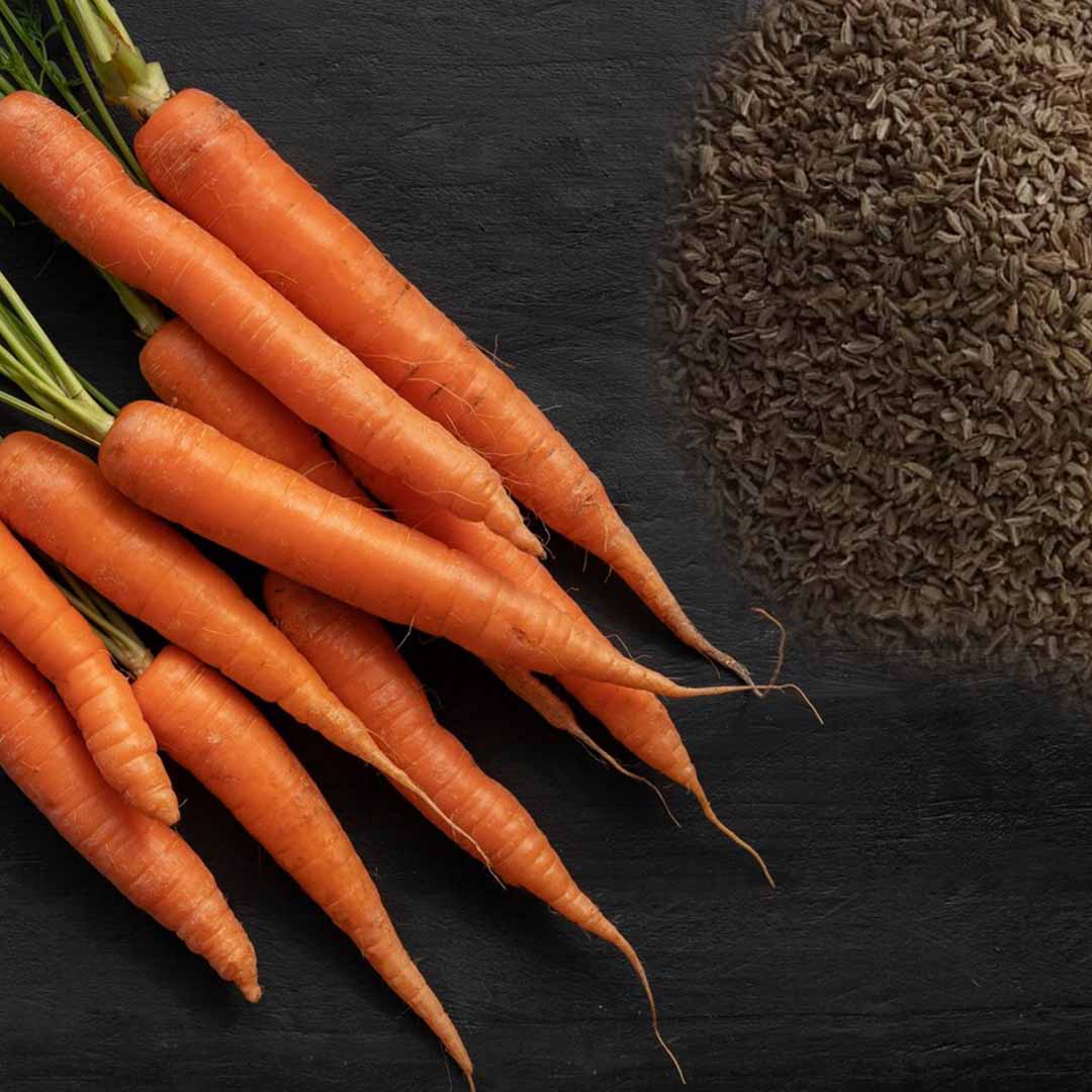 Sri Venkatesh Aromas (SVA Naturals): Bulk manufacturer & Exporter of Carrot seed essential oil
