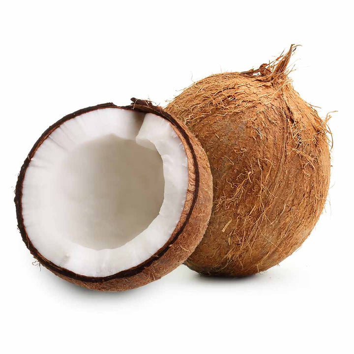 Sri Venkatesh Aromas (SVA Naturals): Top manufacturer & exporter of Bulk Coconut Oil 