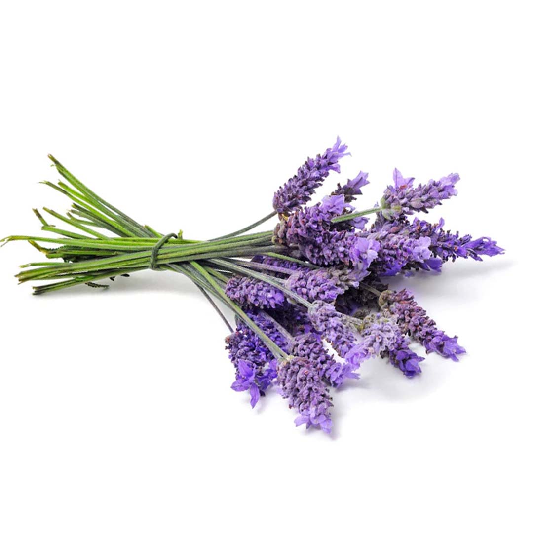 LAVENDER ESSENTIAL OIL, ORGANIC