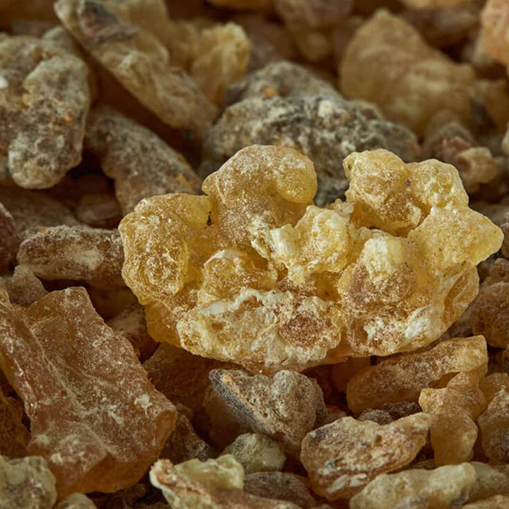 Sri Venkatesh Aromas (SVA Naturals): Bulk manufacturer & Exporter of Frankincense Frereana essential oil