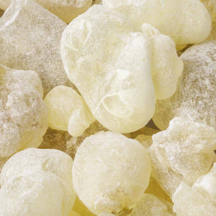 Frankincense Sacra Essential Oil, Organic