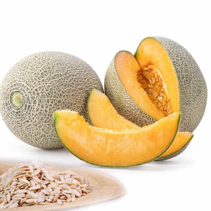 MUSK MELON SEED OIL VIRGIN, UNREFINED