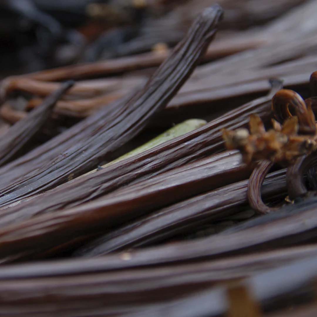 Sri Venkatesh Aromas (SVA Naturals): Bulk manufacturer & Exporter of Vanilla Extract 20 Fold