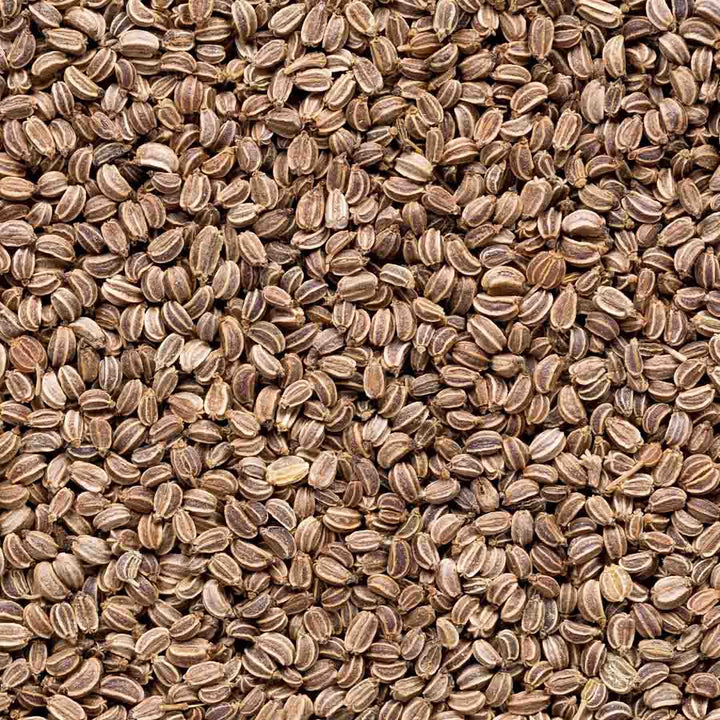 Sri Venkatesh Aromas (SVA Naturals): Top manufacturer & exporter of Bulk Celery Seed essential oil