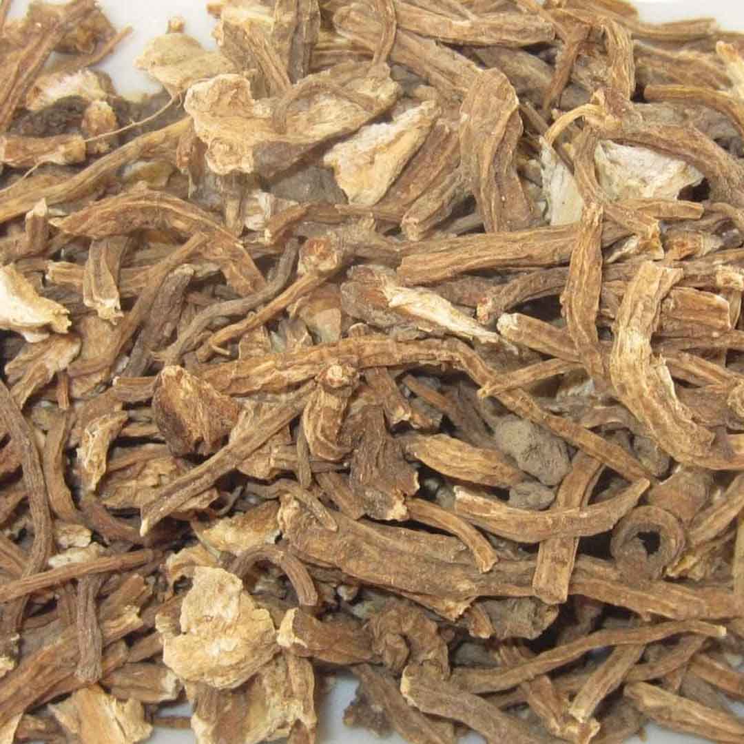 Sri Venkatesh Aromas (SVA Naturals): Top manufacturer & exporter of Bulk Angelica Root essential oil