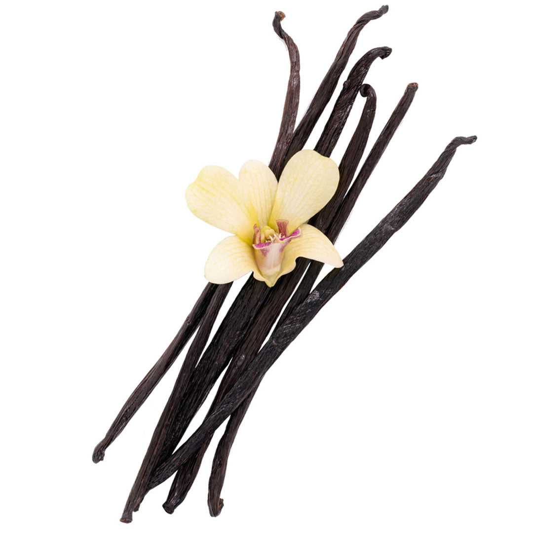 Sri Venkatesh Aromas (SVA Naturals): Top manufacturer & exporter of Bulk Vanilla Extract 3 Fold 