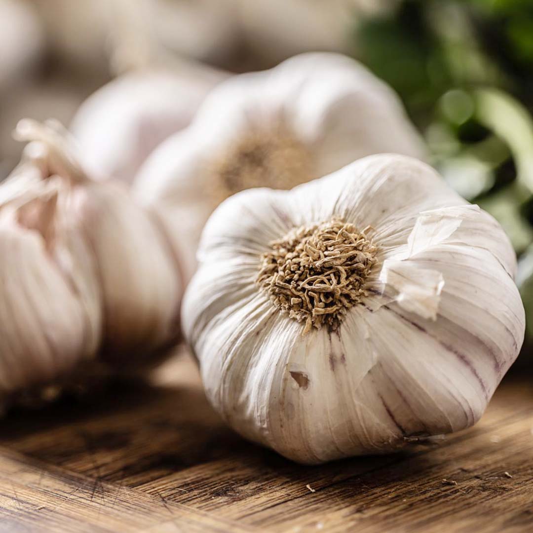 GARLIC ESSENTIAL OIL