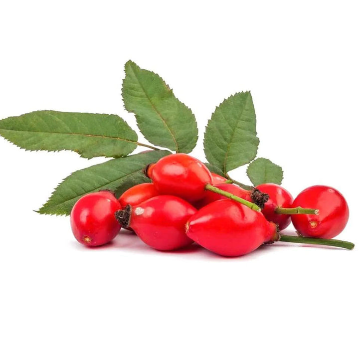 ROSE HIP SEED OIL, ORGANIC