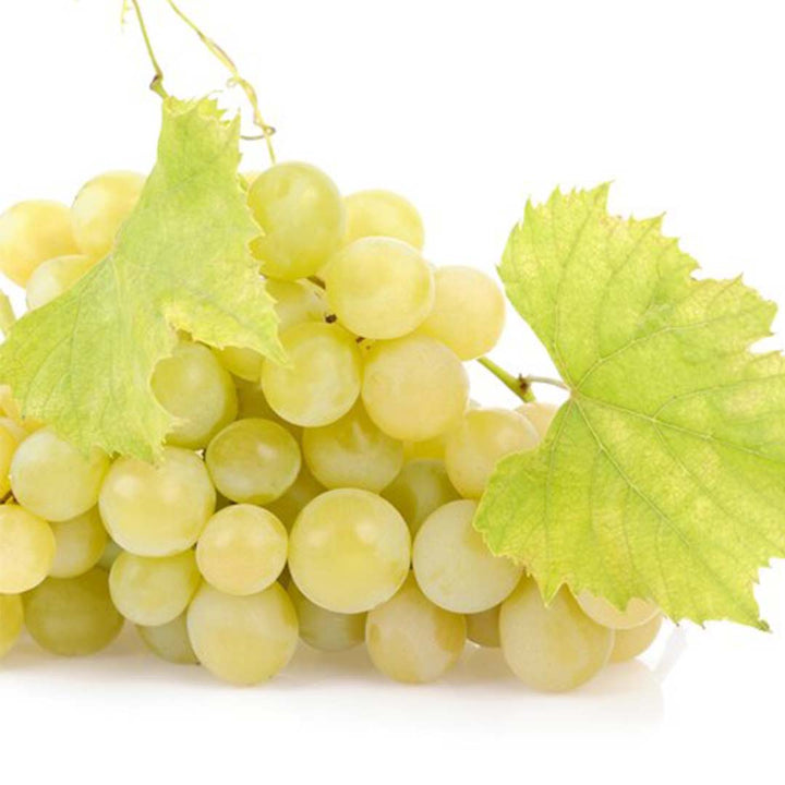 Cognac white essential oil