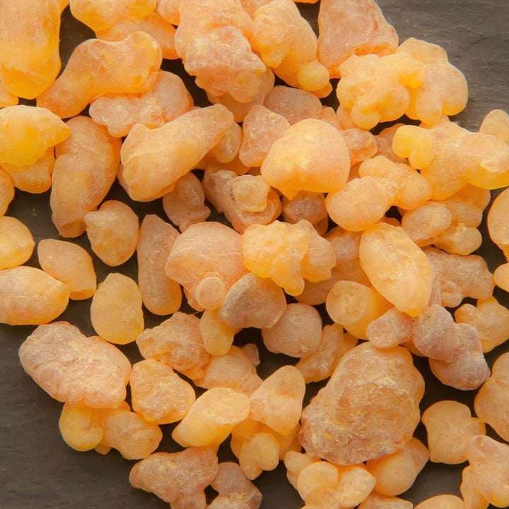 Sri Venkatesh Aromas (SVA Naturals): Top manufacturer & exporter of Bulk Frankincense Carterii essential oil